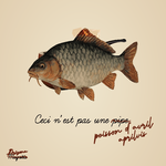 Les réformes Arizona : un poisson d’avril ?